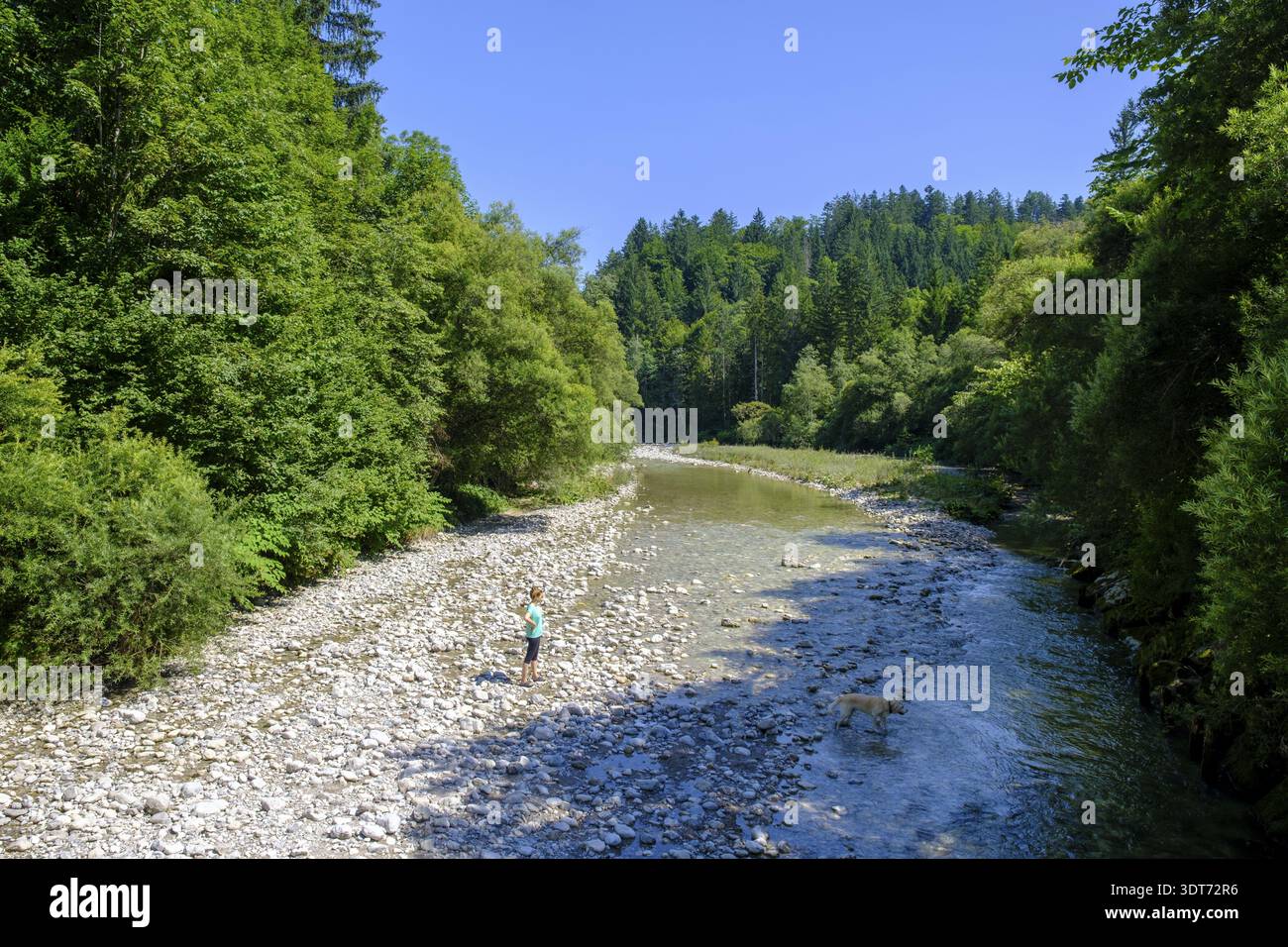 Grenzsteg an der Lofer, Loferauen, Reit im Winkl, Chiemgau, Oberbayern, Bayern, Deutschland Stockfoto
