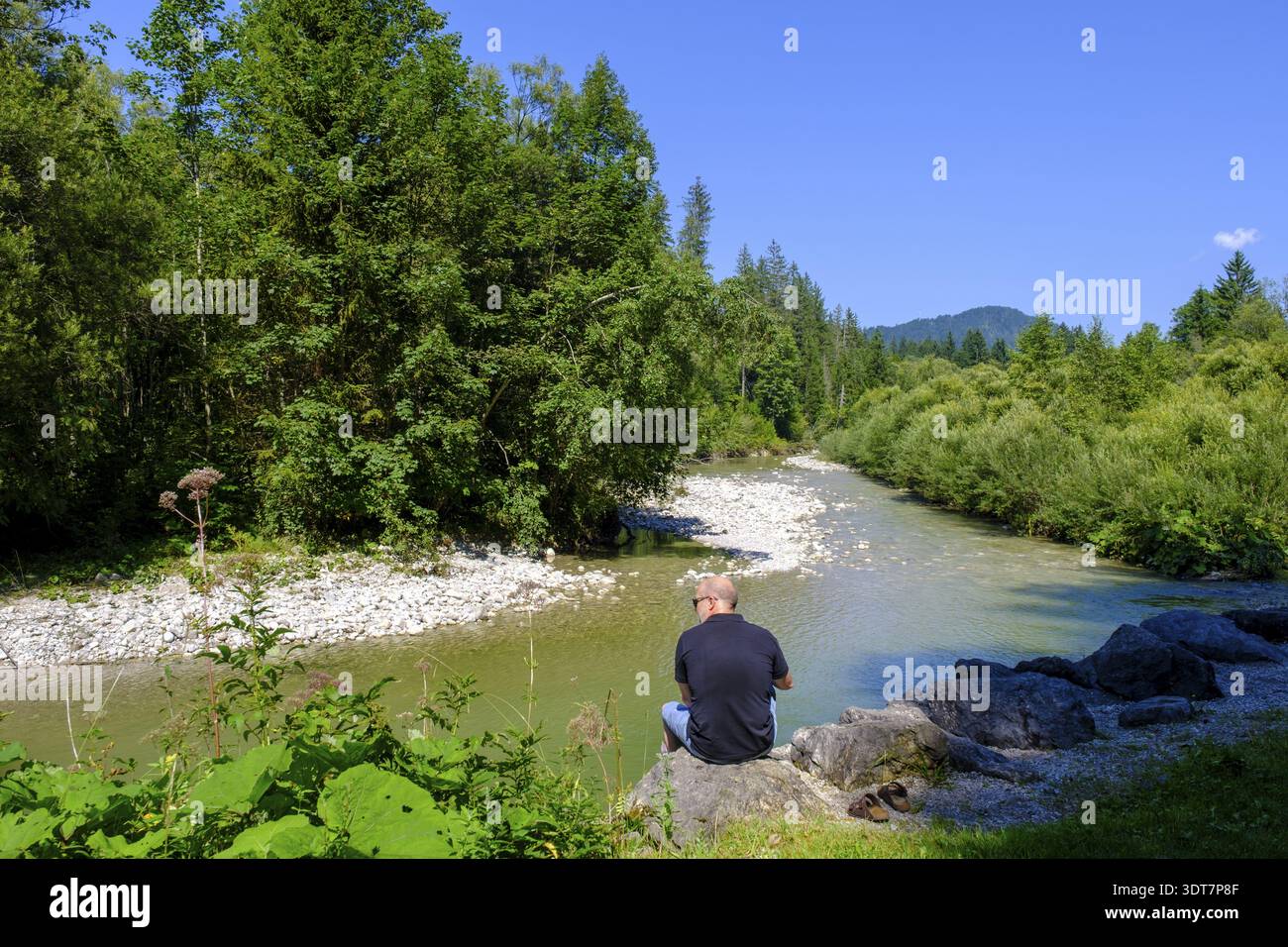 An der Lofer, Loferauen, Reit im Winkl, Chiemgau, Oberbayern, Bayern, Deutschland Stockfoto