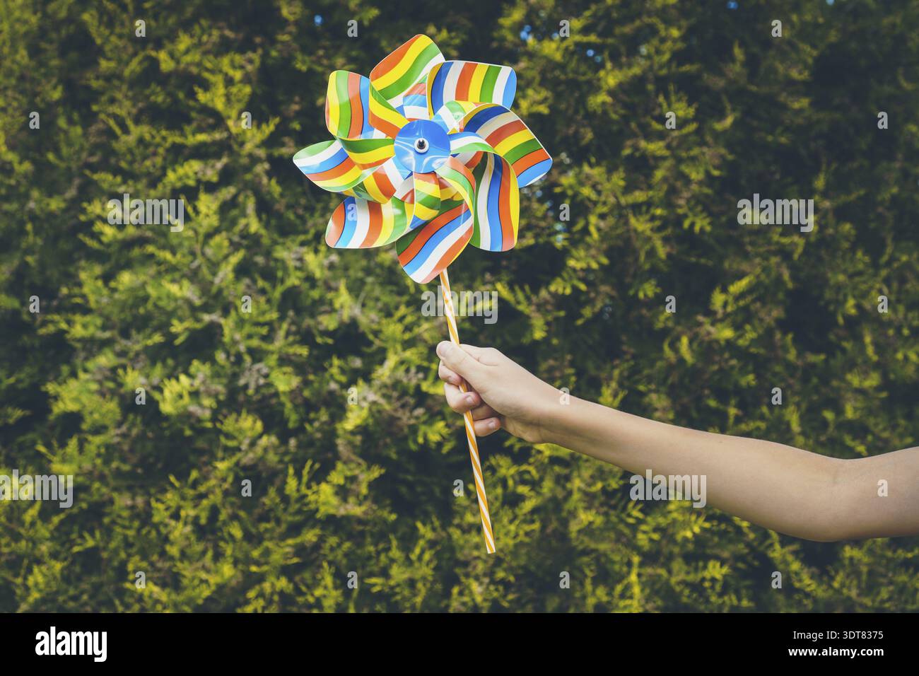 Bunte Windrad Windmühle auf einer Hand mit Natur Hintergrund Stockfoto