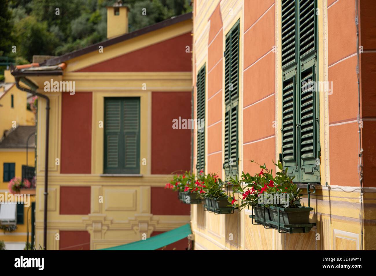 Warme pastellfarbene Fassade mit traditionellen grünen Fensterläden und blühenden Blumenkästen. Stockfoto