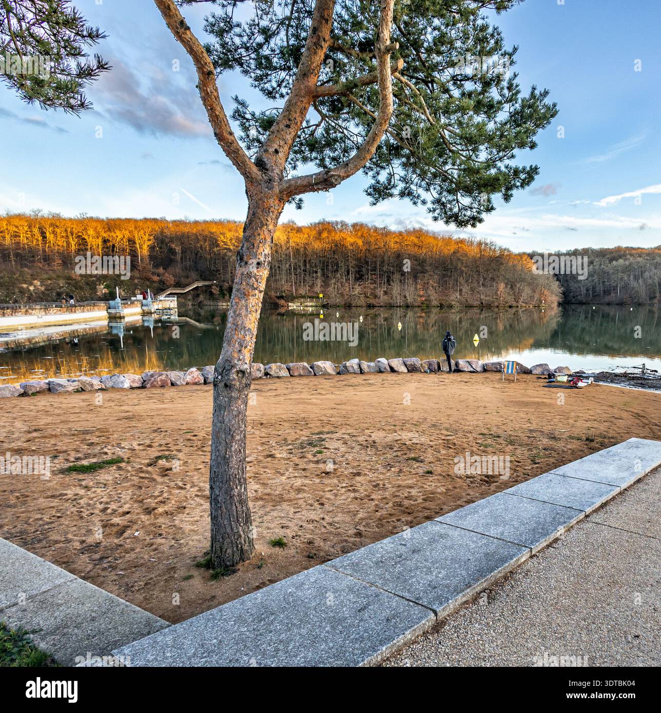 Ein einsamer Fischer steht an einem Sandstrand und blickt auf einen ruhigen See mit Wasserstrahlen. Im Vordergrund steht ein grüner Nadelbaum, der einen Frieden schafft Stockfoto