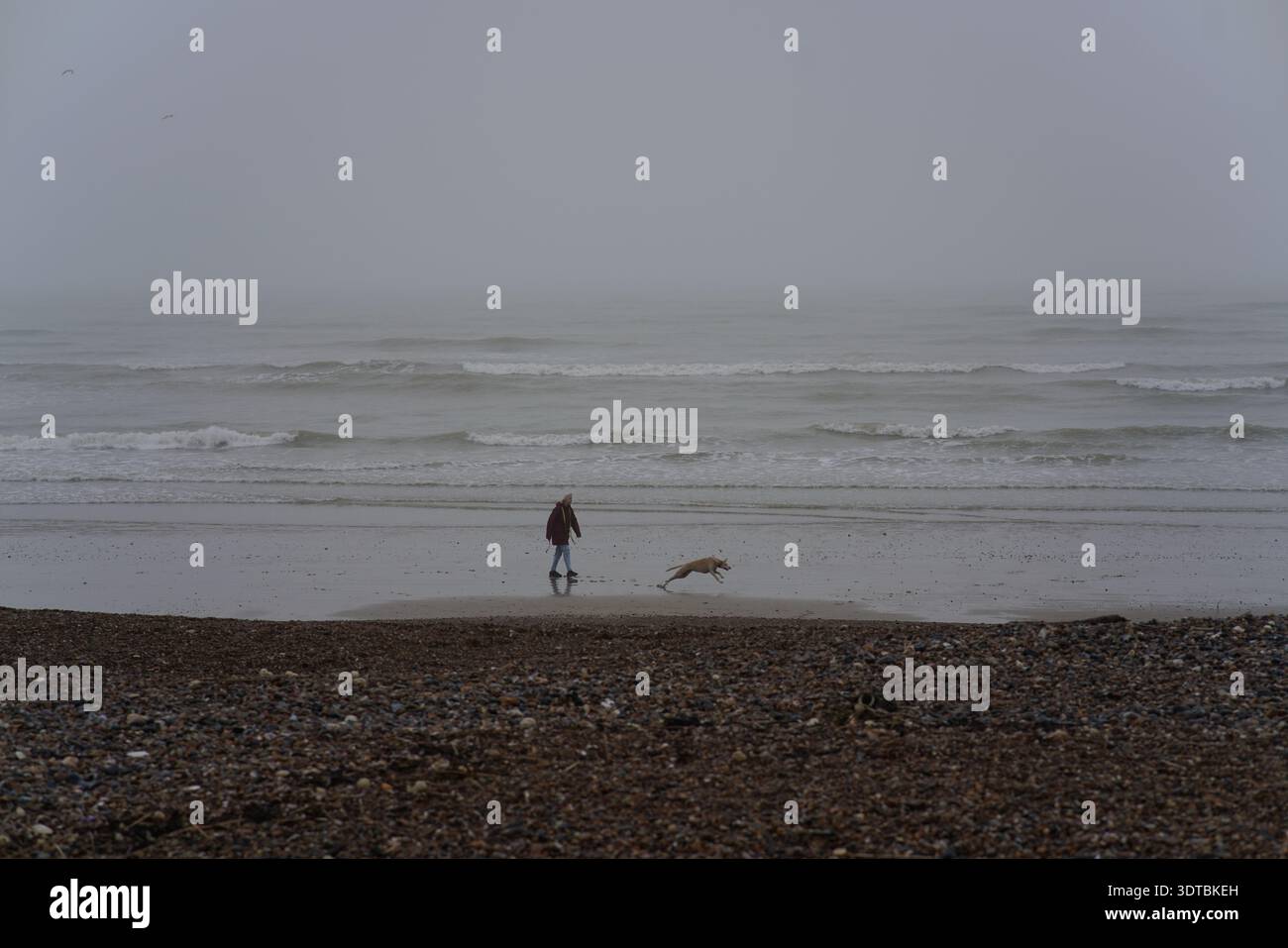 Einsame Figur, die einen kleinen Hund am nebligen Littlehampton Kiesstrand, nebligen, bewölkten Meer und Wellen, West Sussex Englands Küste spaziert. Stockfoto
