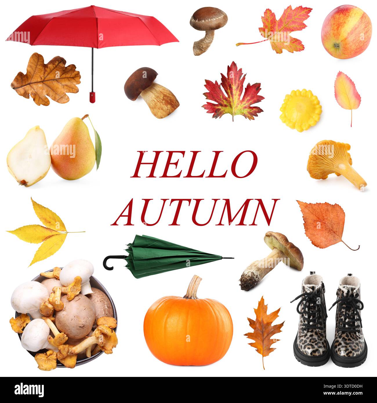 Hallo Herbst. Set mit saisonalen Dingen wie Blättern, Pilzen und Regenschirmen isoliert auf weiß Stockfoto