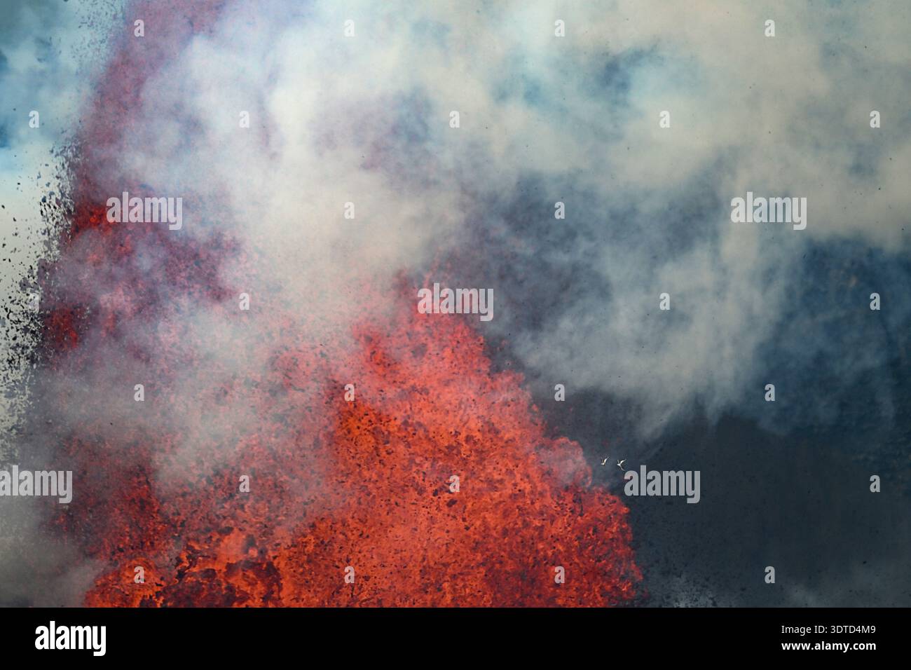 Phaethon lepturus, ein Paar von Weißschwanzvögeln, fliegen an einem riesigen Brunnen aus heißer Lava im Halemaumau-Krater auf dem Kilauea-Vulkan auf Hawaii vorbei Stockfoto