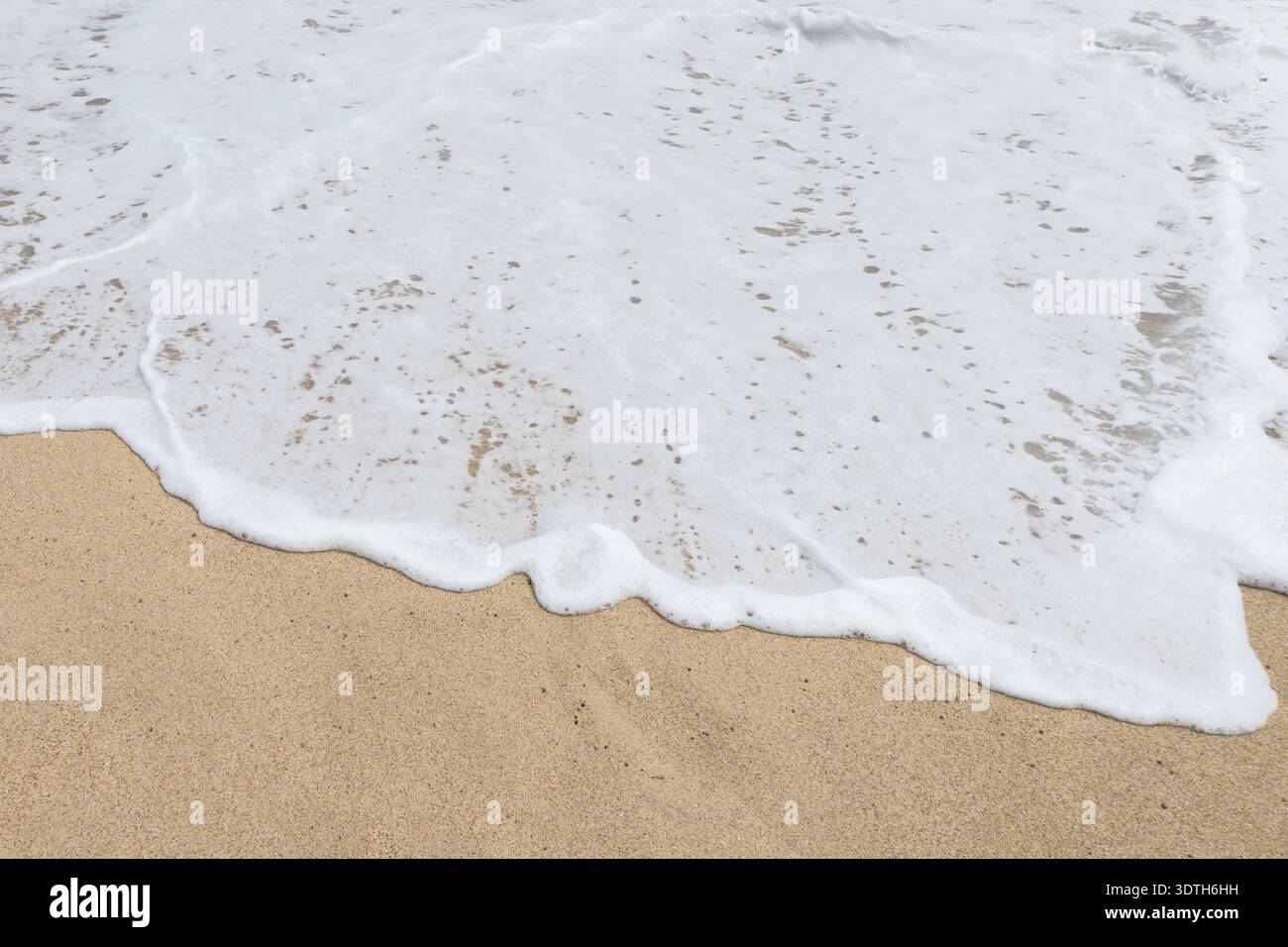 Weißer Meeresschaum, der über goldenem Sand am Strand gespült wird Stockfoto