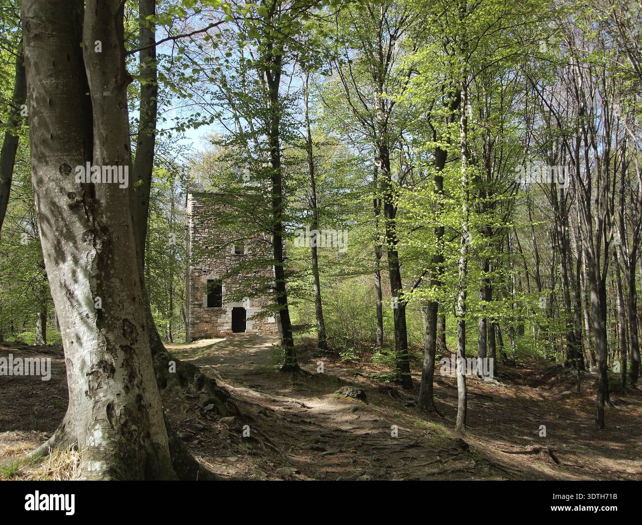 Der Turm von Redde bei Tesserete, Kanton Tessin, in der italienischsprachigen Schweiz. Beispiel für mittelalterliche Architektur Stockfoto