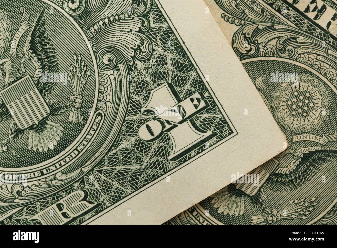 Bruchstücke von ein-Dollar-Scheinen in Nahaufnahme. Makrofoto. Stockfoto