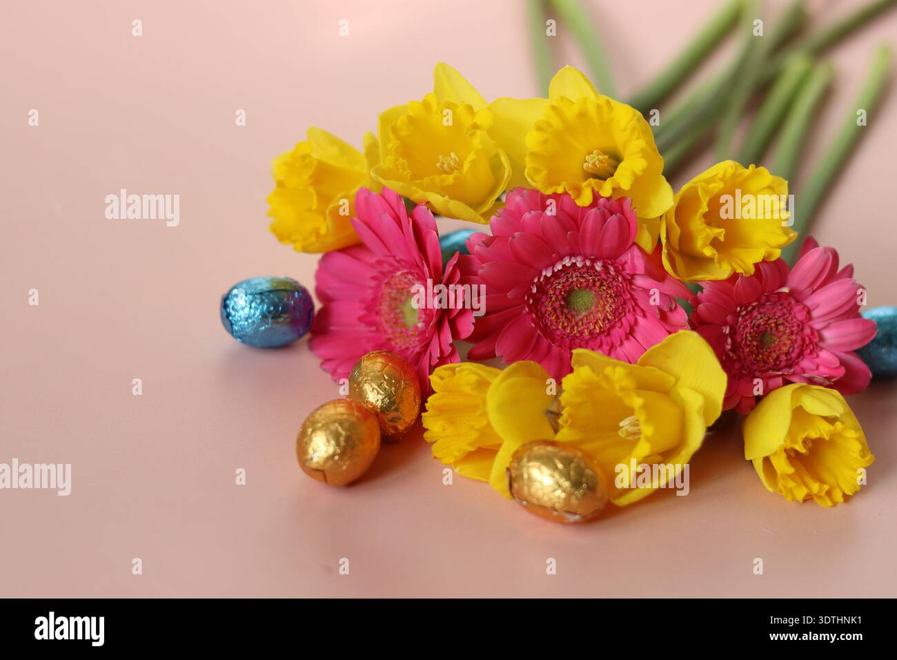 Bouquet von Narzissen und Gerberas auf rosa Hintergrund Stockfoto