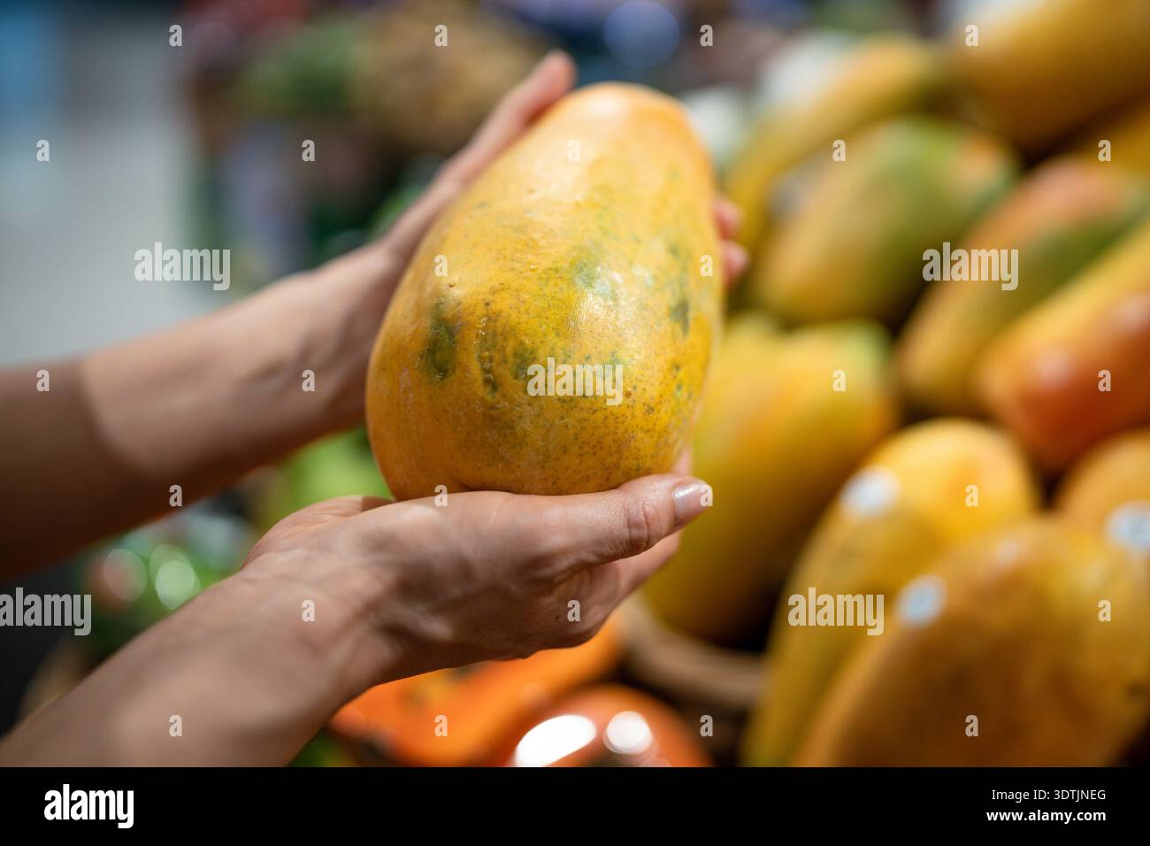 Hand überprüft Papaya Festigkeit und Farbe, um die Frische am Lebensmittelmarkt Stand, gesunde Ernährung zu testen Stockfoto