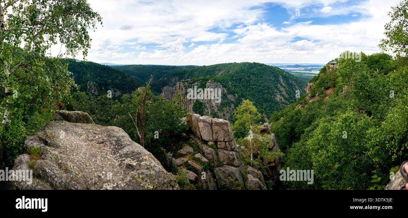 Ein atemberaubender Panoramablick fängt die weitläufige und dramatische Landschaft der Bode-Schlucht in Thale, Deutschland, ein. Aus einem hohen Blickwinkel, robuster roc Stockfoto