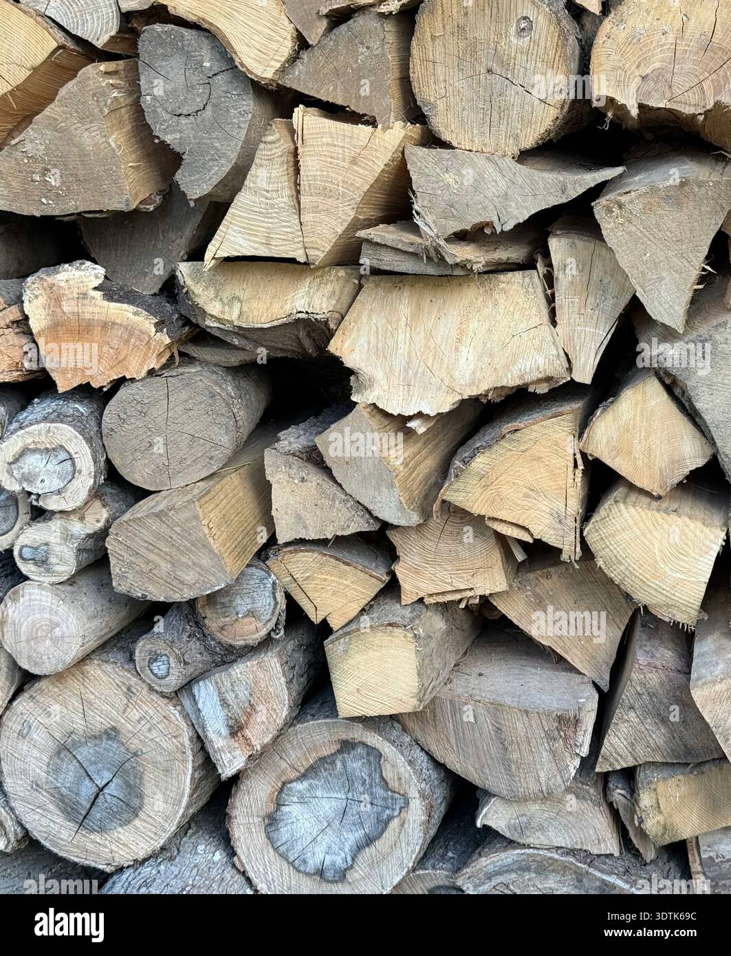 Nahaufnahme von gestapelten Schnittholz mit detaillierter Holzstruktur und Rindenstruktur. Natürlicher Hintergrund, geeignet für Land- und Forstwirtschaft und nachhaltige Energie. Stockfoto