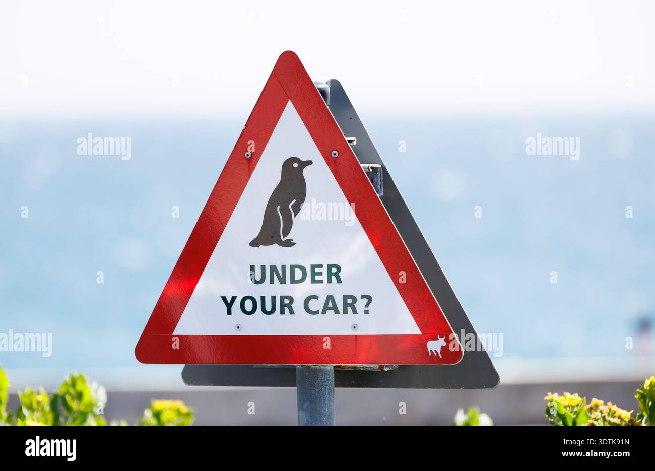 Ein Schild erinnert Besucher daran, auf dem Parkplatz von Boulders Beach, Südafrika, nach Pinguinen unter ihrem Auto zu suchen. Stockfoto