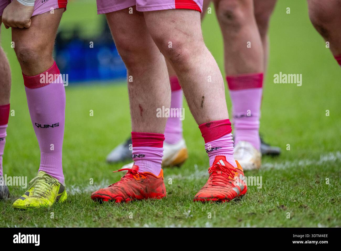 Leicester Tigers Men Players (Green) spielen gegen Harlequins Players (Pink) im Gallagher PREM Men's Rugby League Spiel in Leicestershire. Stockfoto