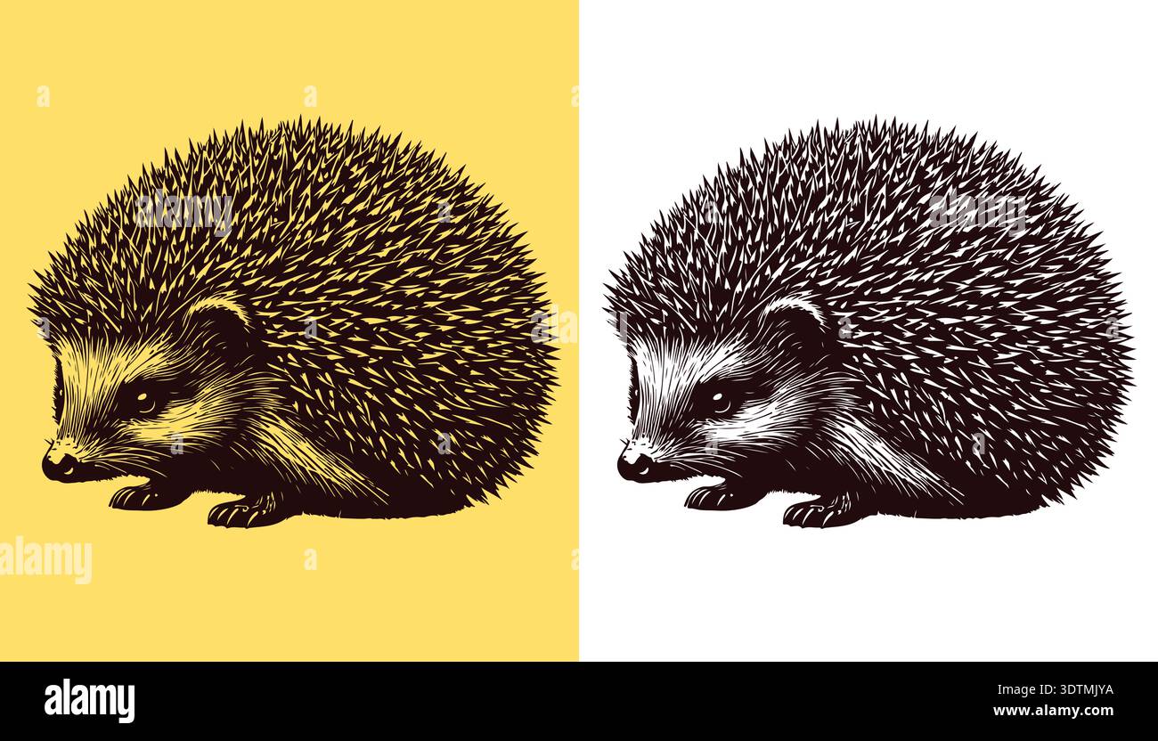 Igel Tier Vektor Logo Illustration Stock Vektor