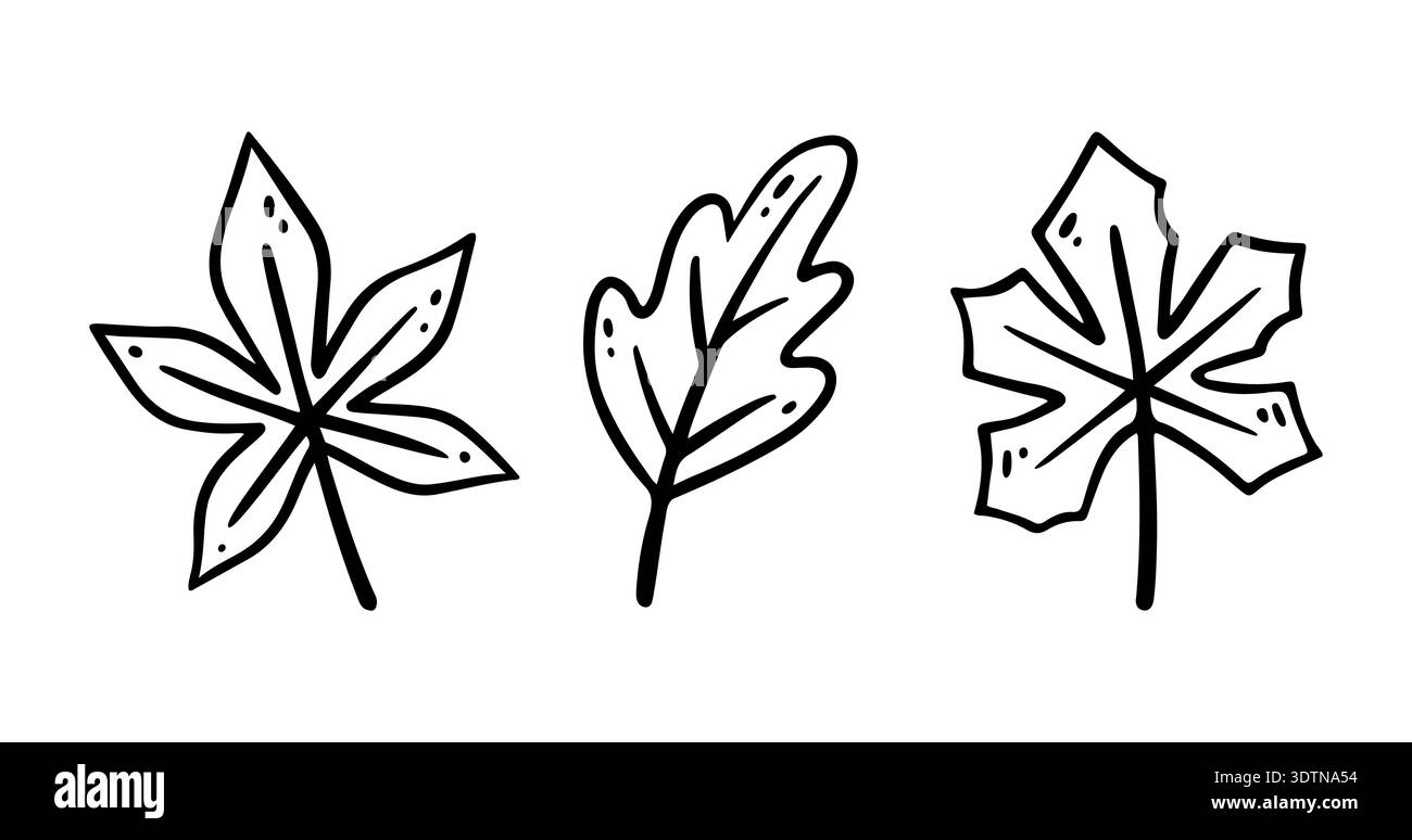 Handgezeichnetes Ahornblatt, Eichenblatt Set. Vektorillustration im Doodle-Stil. Isoliert auf weiß. Verlässt die Sammlung Stock Vektor