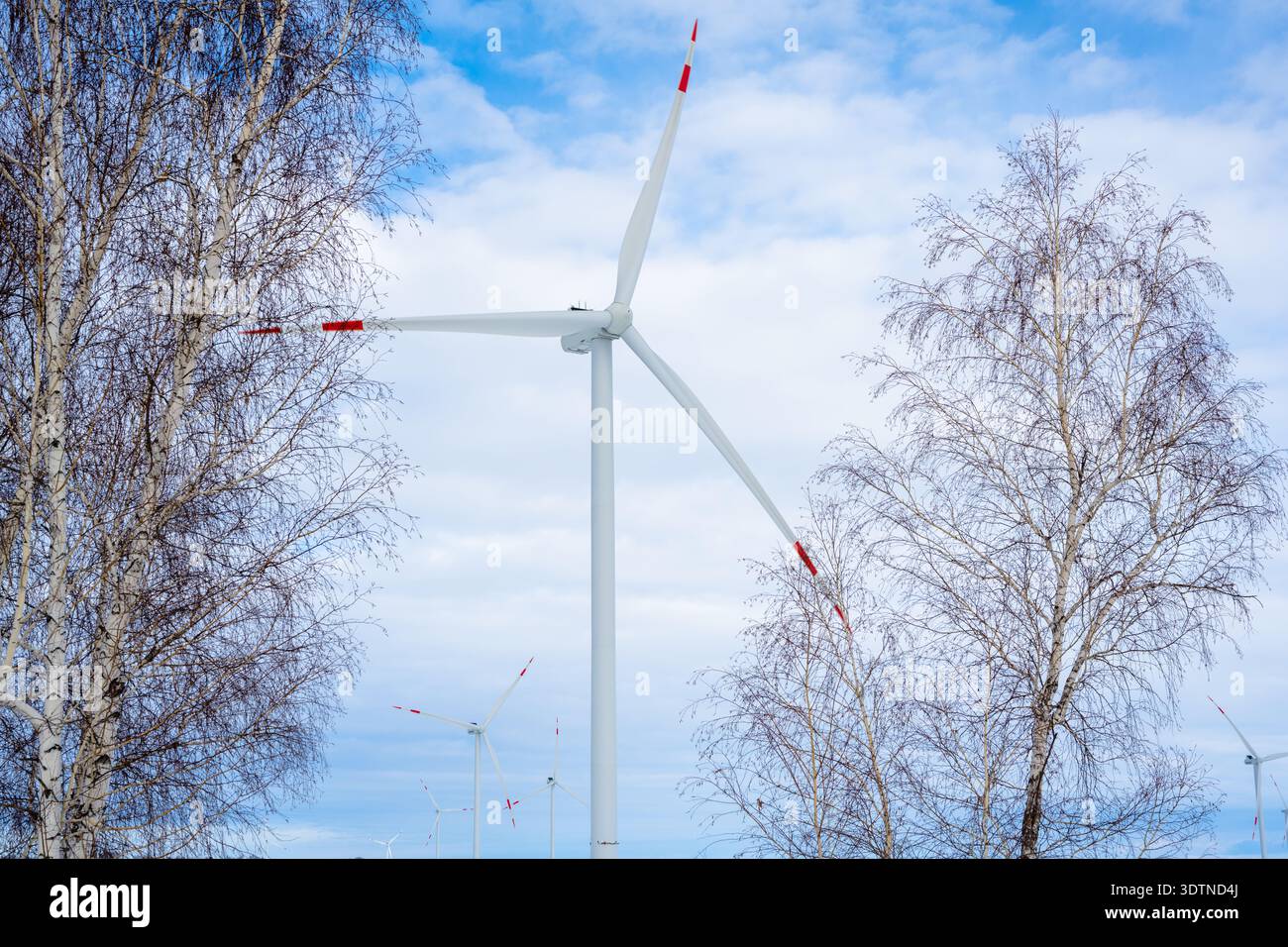 Windkraftanlage in einer verschneiten Landschaft mit Nebel am frühen Wintermorgen. Alternative Energiequellen bei extremen Witterungsbedingungen. Malerischer Winter, Kap Stockfoto
