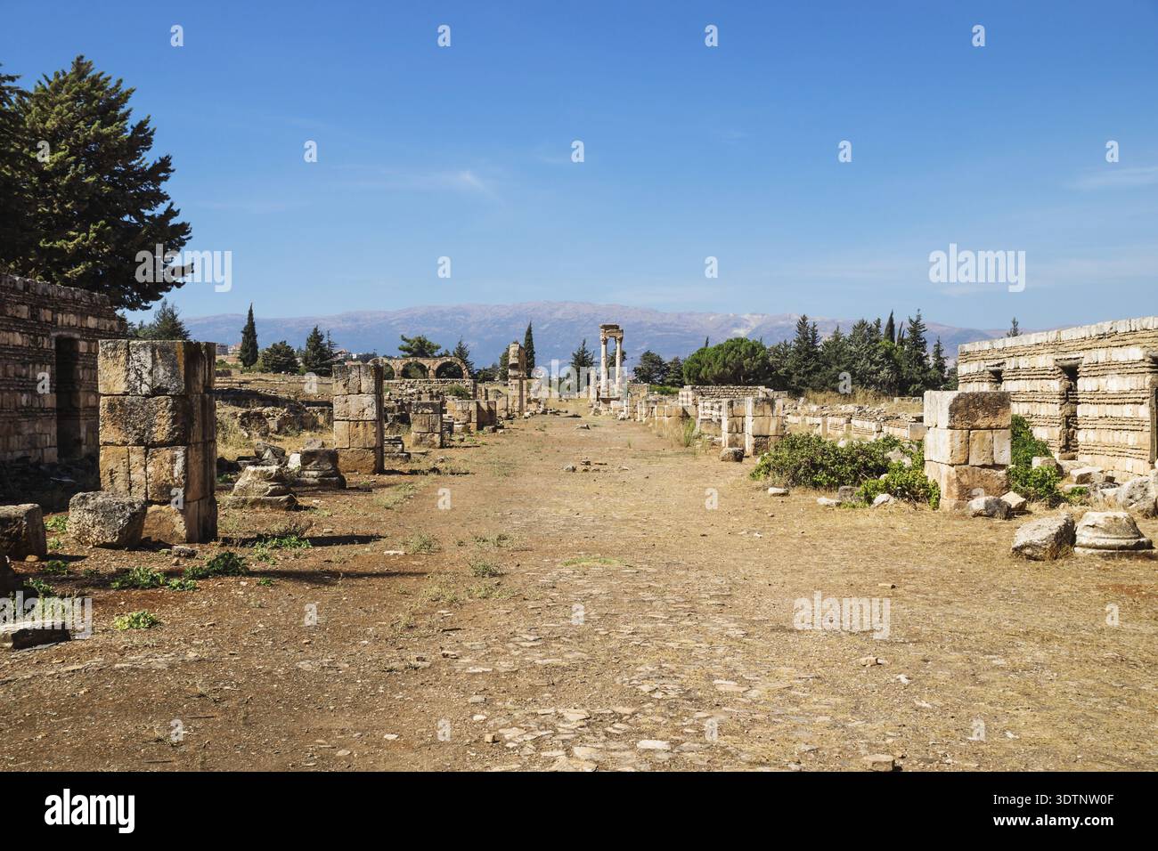 Der umayyaden Stadt Ruinen in Anjar mit Bergen, Bekaa-tal, Libanon Stockfoto