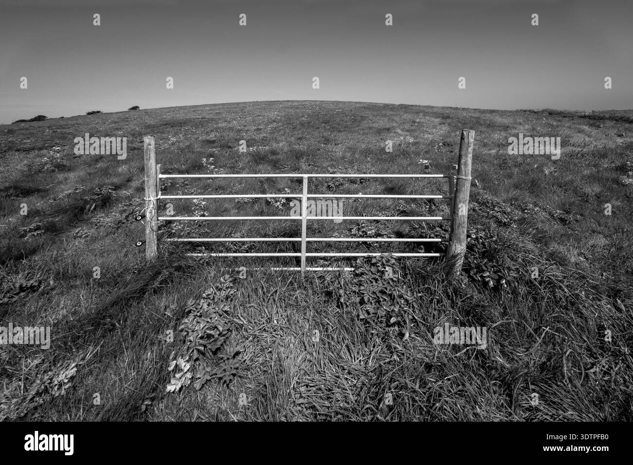 Schwarz-weiße Landschaft mit geschlossenem Metalltor, das ganz allein steht (ohne Zaun oder Hecke) auf einem grasbewachsenen Hügel in der Nähe von Portscatho, Cornwall, Großbritannien. Stockfoto