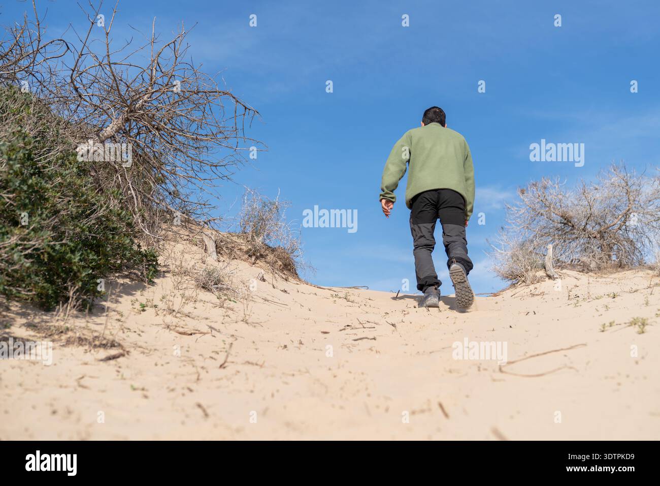 Ein Mann, der die Sanddüne hinaufwandert und nach dem Gipfel strebt Stockfoto