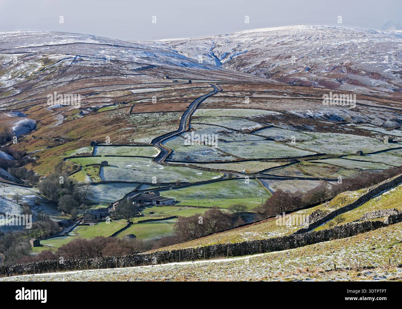 Upper Swaledale von Kisdon Hill, oberhalb des Dorfes Muker, Blick auf die Straße über Buttertubs Pass, Yorkshire Dales National Park, Großbritannien Stockfoto