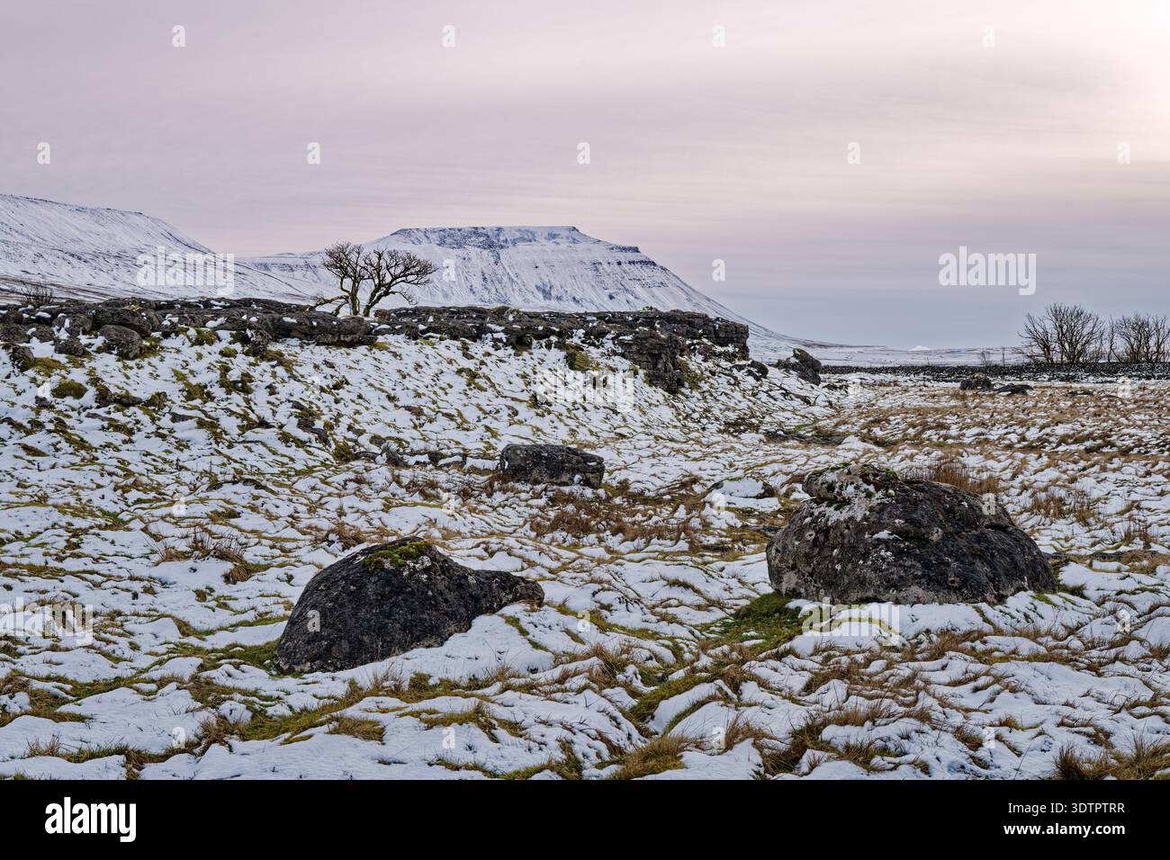 Das schneebedeckte Ingleborough in der Nähe von Ingleton, Yorkshire Dales National Park, Großbritannien Stockfoto