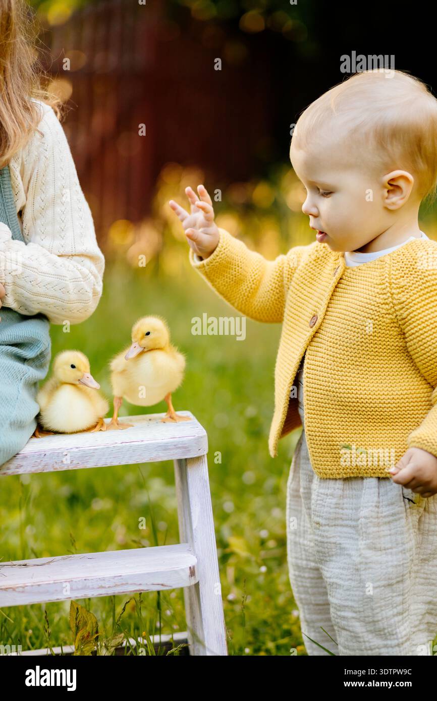 Kinder genießen die Zeit mit Babytieren im Garten. Stockfoto