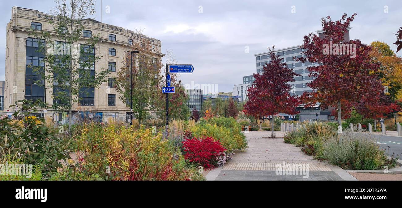 Sheffield Grey to Green Urban Planting Plan im Castlegate Quarter im Stadtzentrum von Sheffield, South Yorkshire, England, Großbritannien Stockfoto