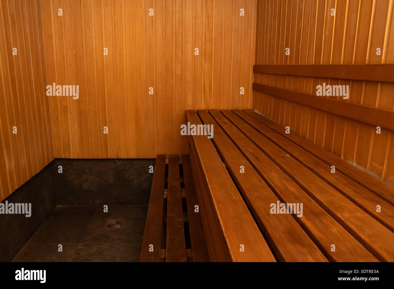 Eine ruhige Holzsauna mit gemütlichen Bänken, perfekt für Entspannung und Wellness-Retreat Stockfoto