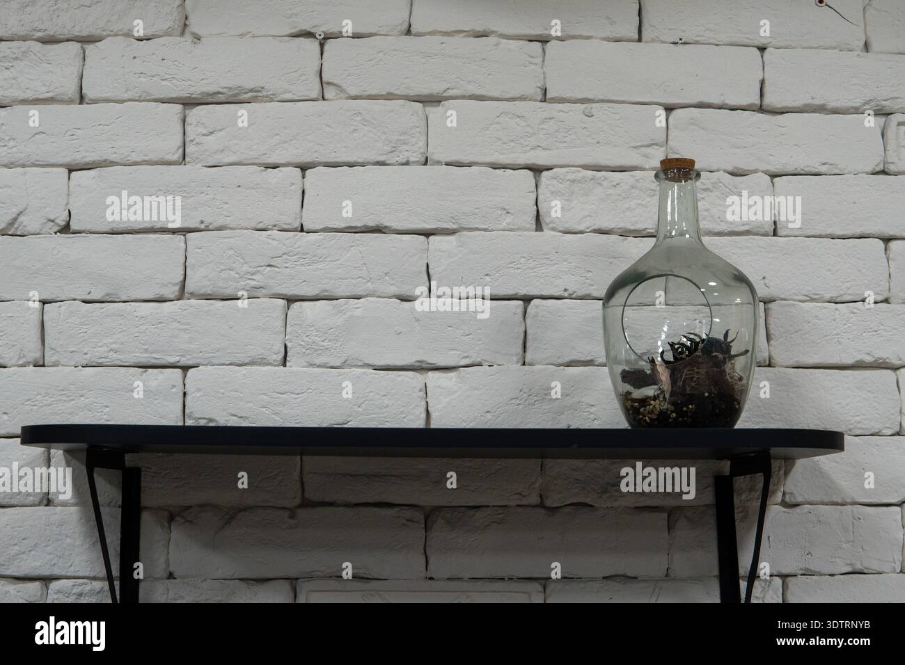 Ästhetische Präsentation eines Glasgefäßes mit einzigartigen natürlichen Elementen auf einem minimalistischen schwarzen Regal vor einer strukturierten weißen Ziegelwand Stockfoto