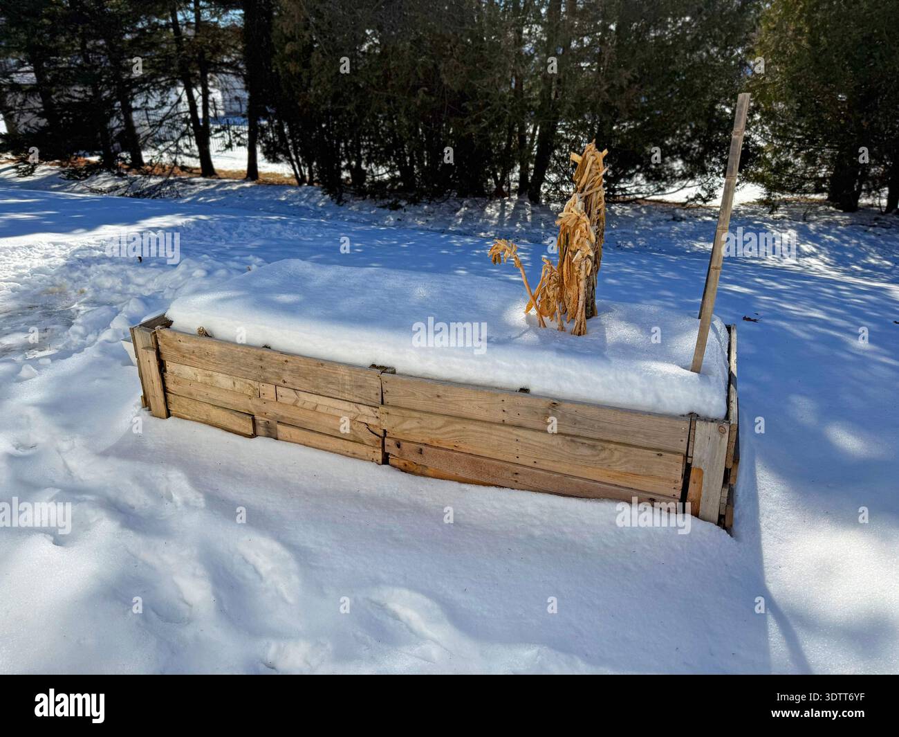 Ein Hochbeet-Gemüsegarten im Winter mit Schnee auf dem Boden in Saint Albans, Vermont. Stockfoto