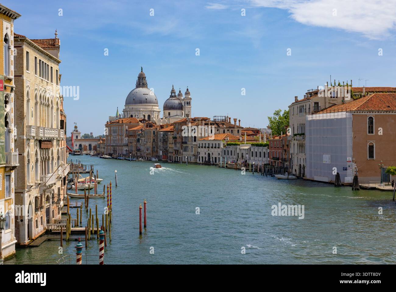 Canale Grande von Venedig mit Kirche Santa Maria della Salute und historischen Gebäuden in Italien Stockfoto