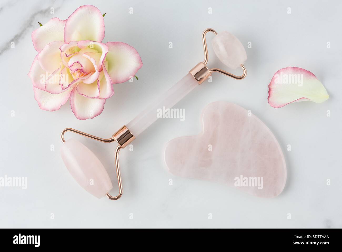 Gesichtsrolle aus Rosenquarz und Gua-Sha-Stein für Anti-Aging-Massagen mit rosa Rosenblüten auf dem Marmortisch. Kosmetisches Werkzeug für den Gesichtsrumpf Stockfoto