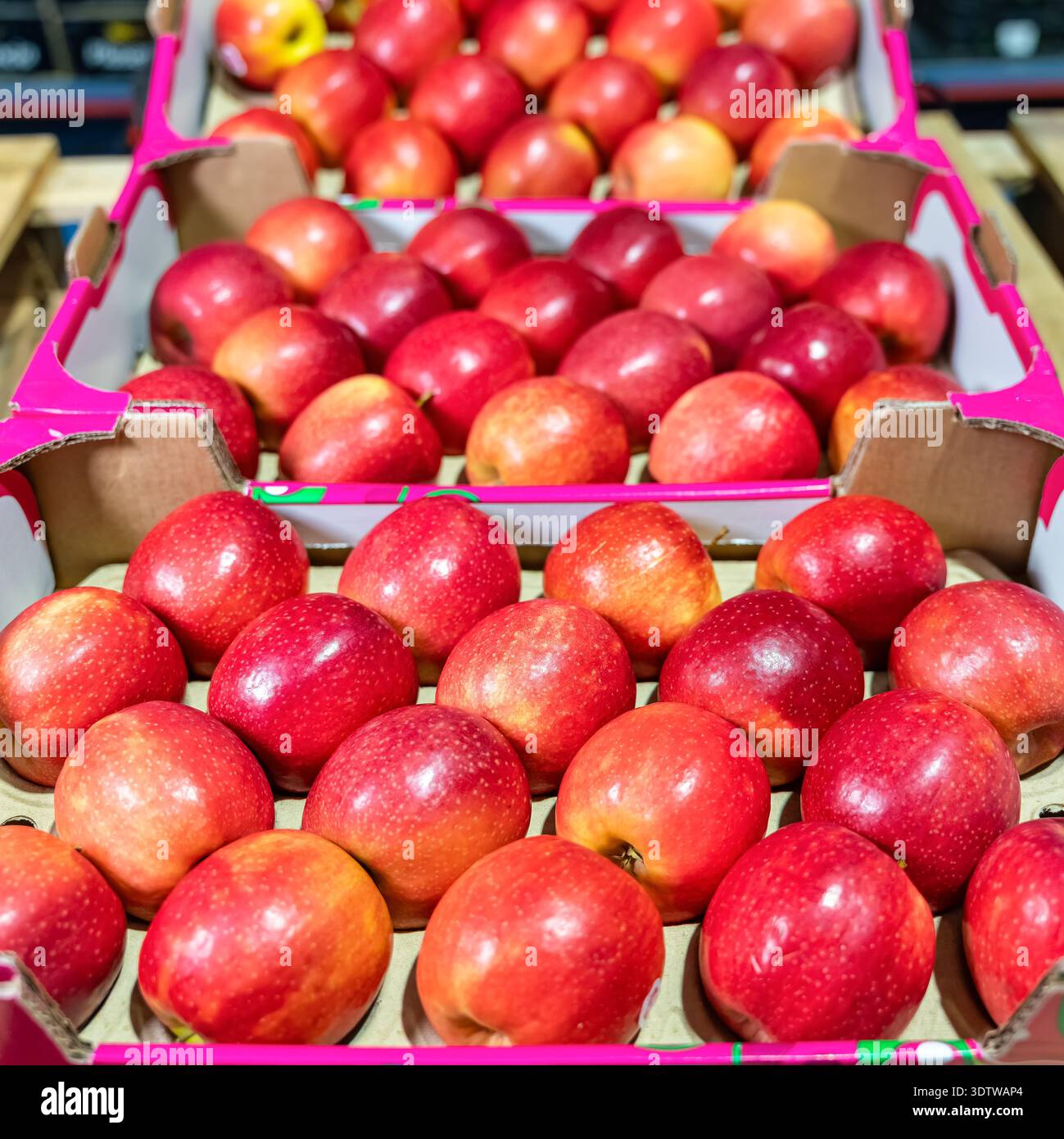 Viele rote Äpfel in Kartons im Obstlager. Stockfoto