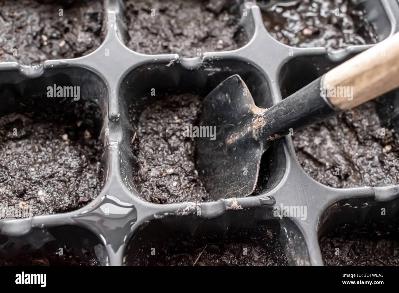 Nahaufnahme einer kleinen Gartenschaufel, die in organischem Boden in einem Keimling-Tablett gräbt. Das Konzept des Frühlingsbepflanzens und des Hobbys im Garten Stockfoto