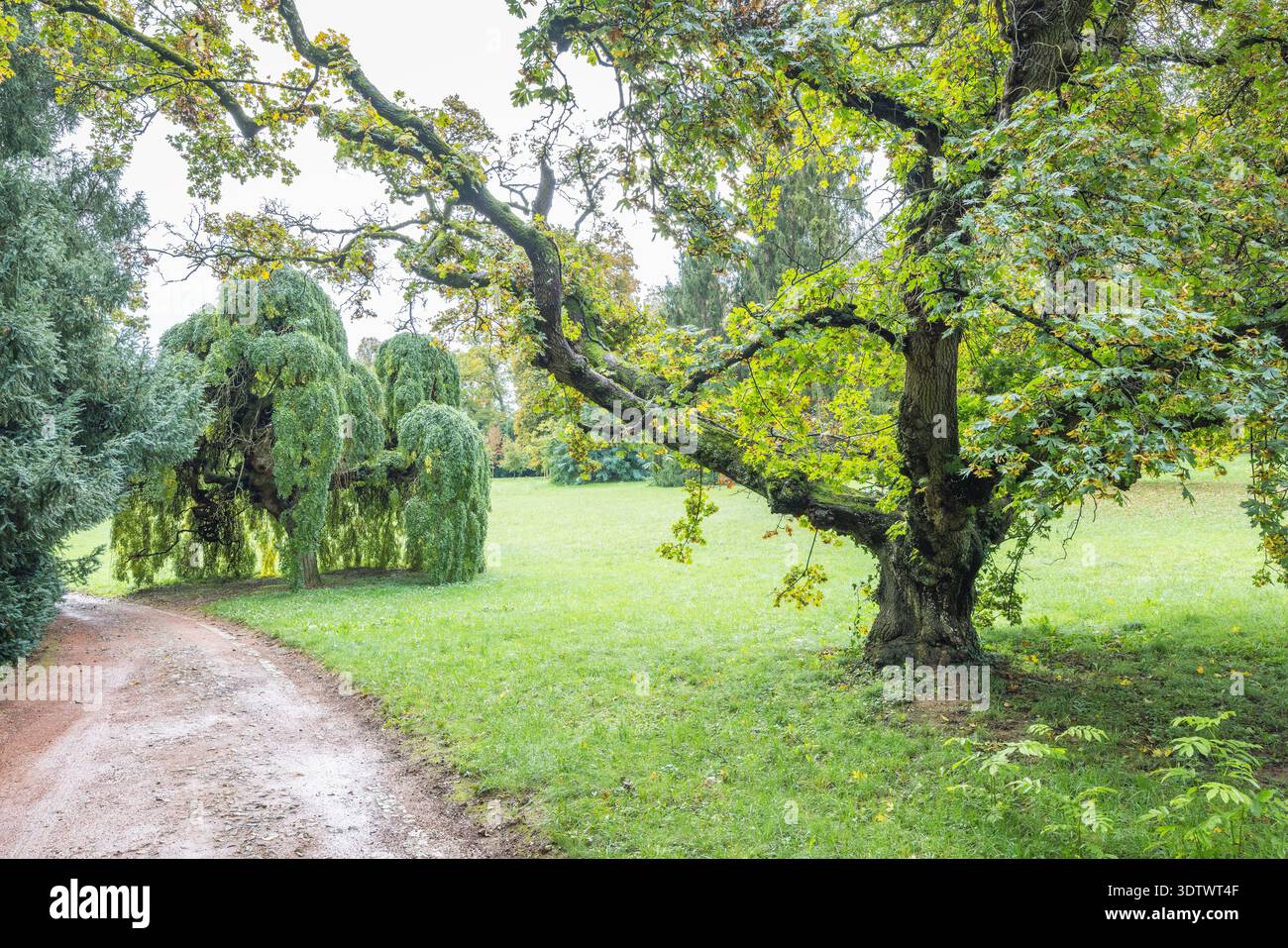 Der Garten am Schloss Buchlovice, Tschechien, Europa. Eine ruhige Landschaft mit üppigem grünem Gras und einer Vielzahl von Bäumen, die die Natur in Szene setzen Stockfoto