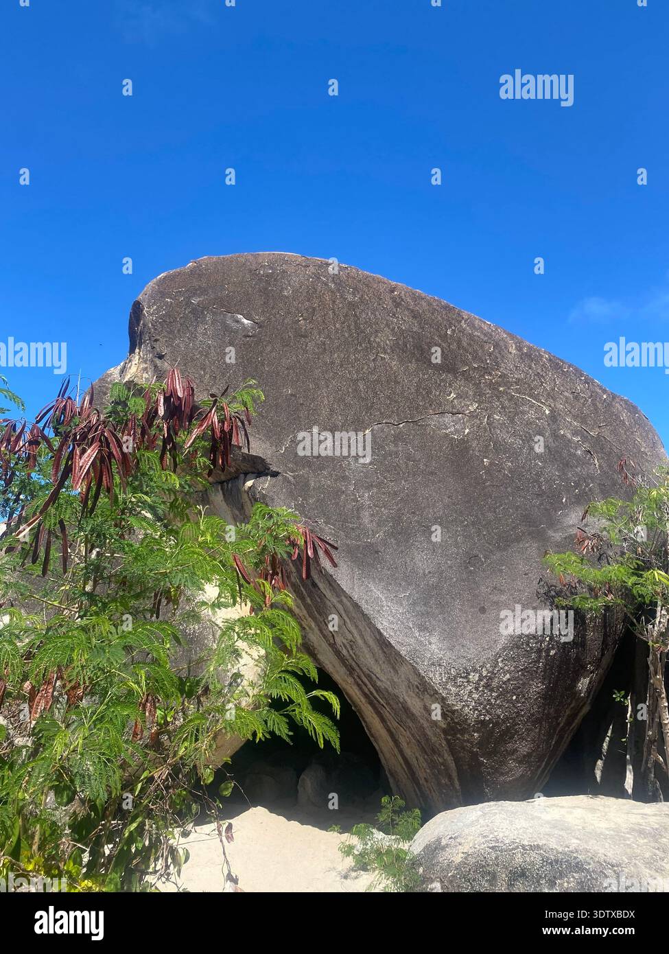 Wunderschöner großer Felsbrocken mit tropischen Pflanzen. Die Bäder auf Virgin Gorda auf den Britischen Jungferninseln Stockfoto