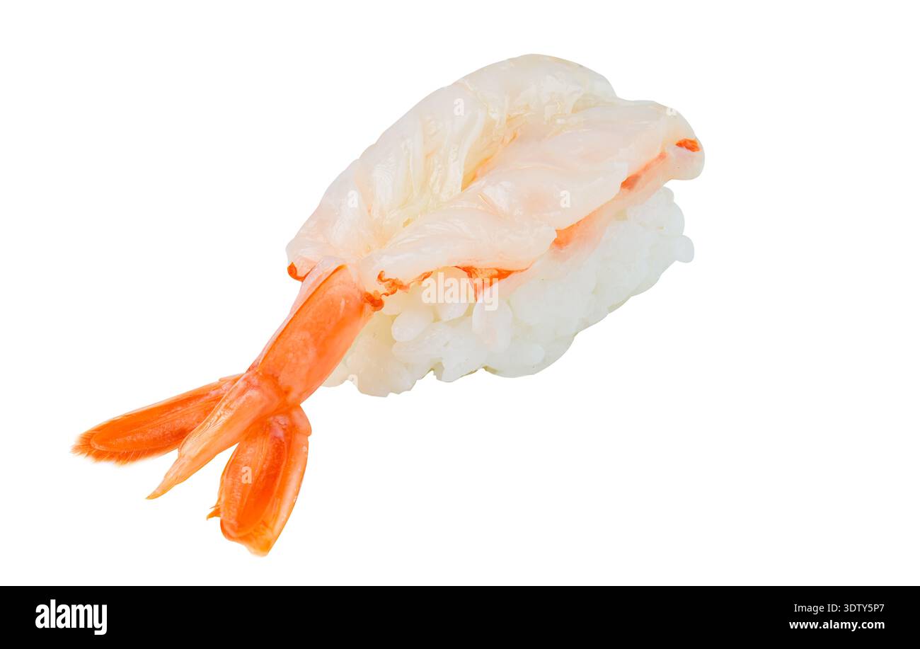 Frisches süßes Shrimps Nigiri Sushi, auf einem sauberen weißen Hintergrund. Eine traditionelle japanische Fischspezialität, die für ihre Süße geliebt wird. Stockfoto