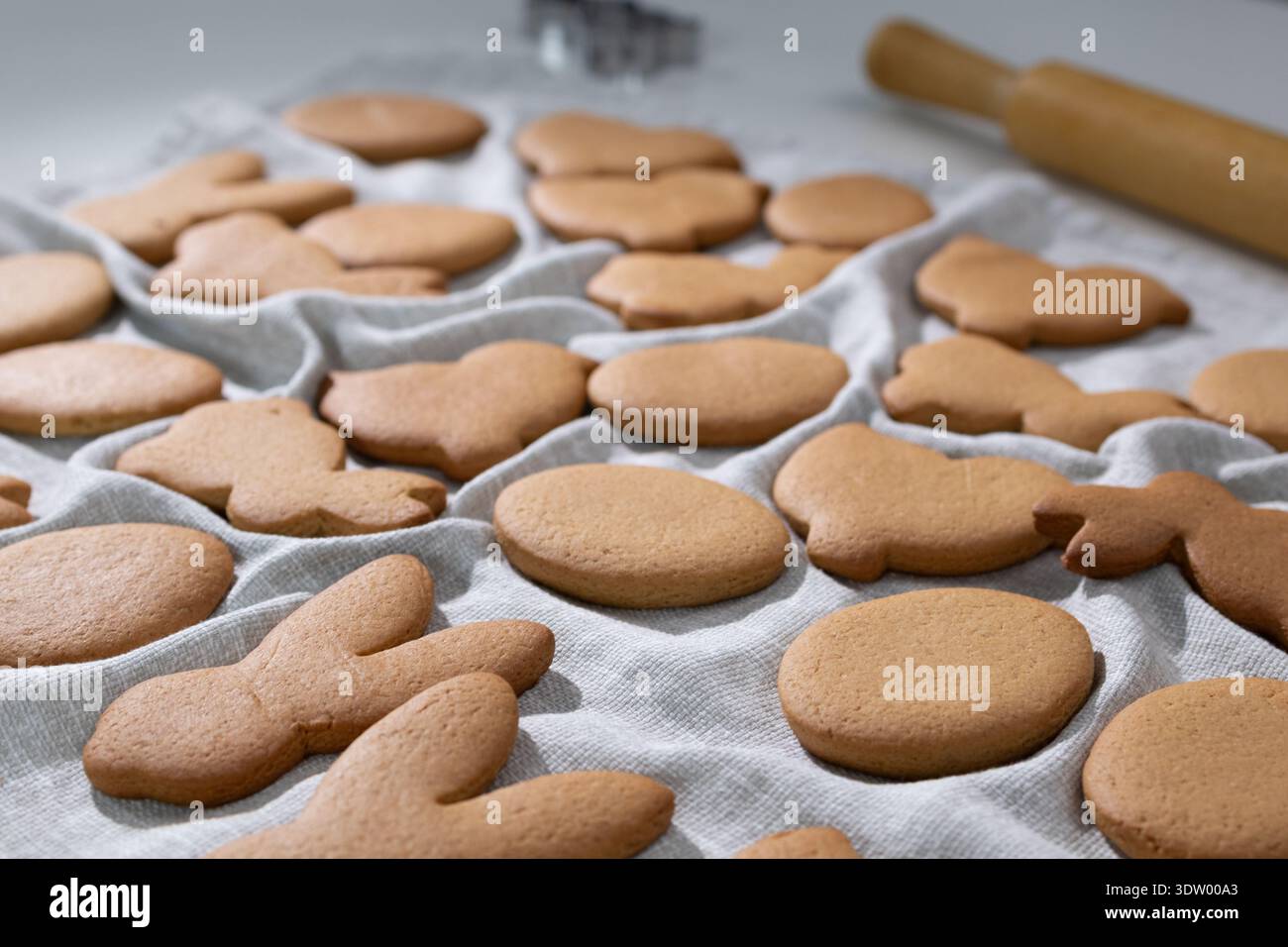 Lebkuchenkekse werden ausgerollt und wie Hasen in verschiedene Formen geschnitten. Sie werden auf ein Handtuch gestellt, um abzukühlen. Diese Aktivität ist Teil der Ostertraditionen für Familien, die sie gemeinsam genießen können. Stockfoto