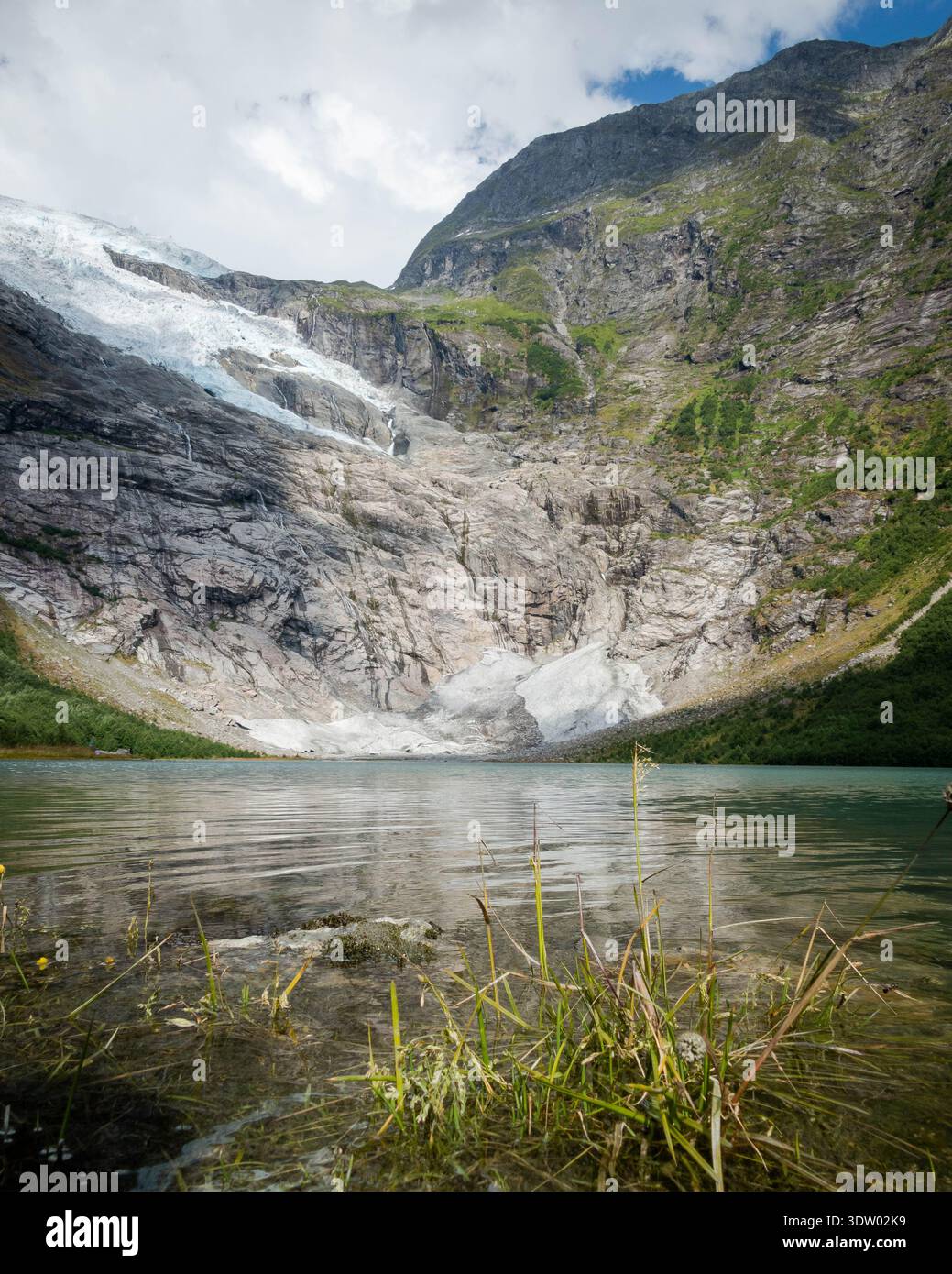 Boyabreen Gletscherzunge, die in den See in Fjærland, Norwegen, abfällt Stockfoto