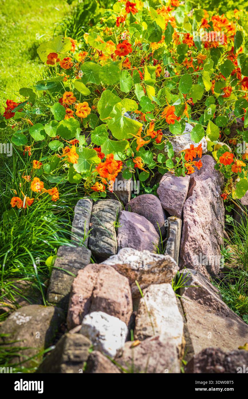 Trockene Steinmauer in schönem Garten, Felsengarten Landschaftsdesign Stockfoto