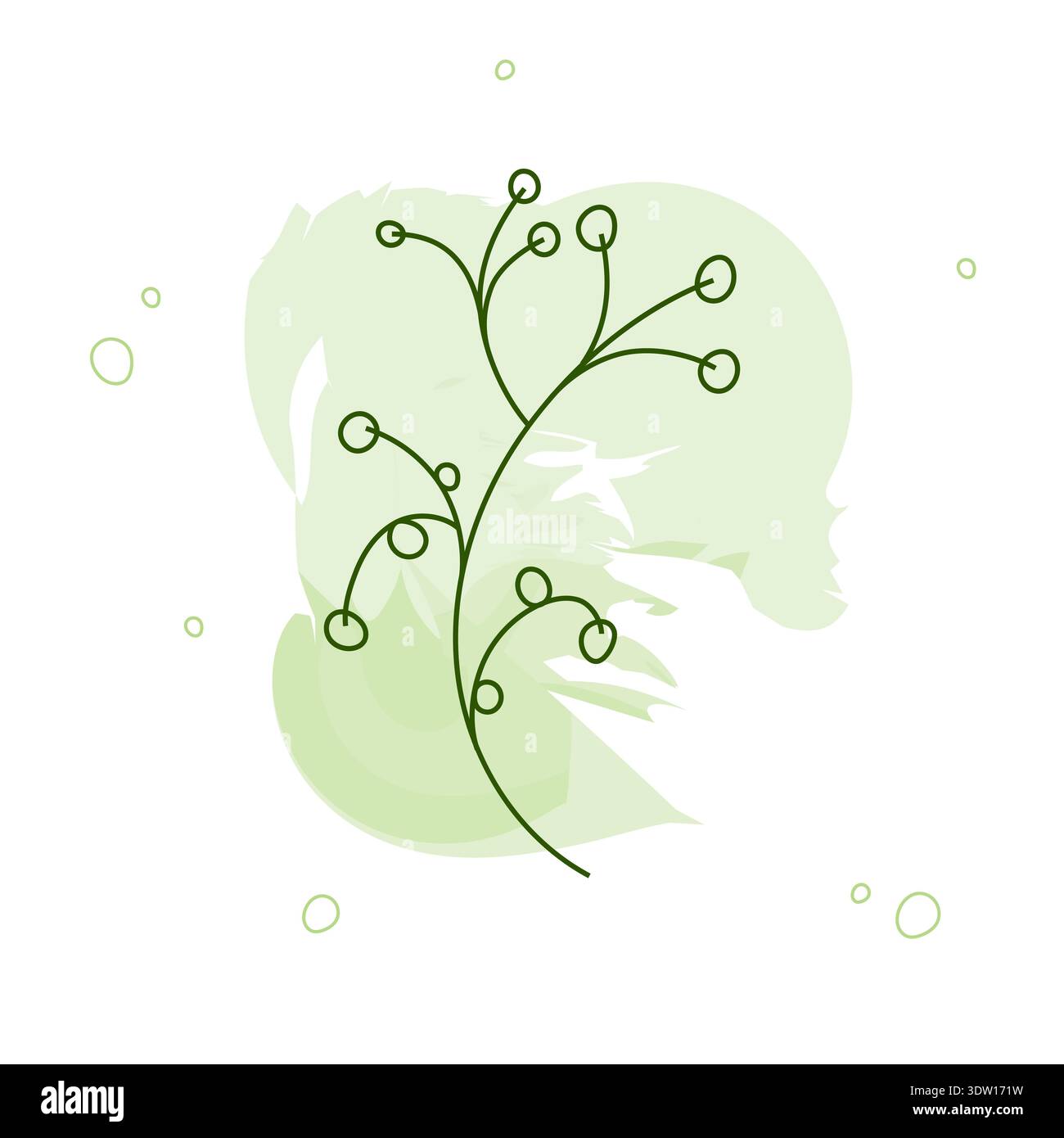 Vektorillustration einer anmutigen Pflanze mit feinen Linien und grünen Kreisen. Modernes organisches Element mit sanftem Aquarellspritzer für umweltfreundliches Branding Stock Vektor