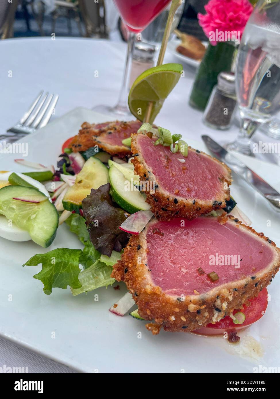 Nahaufnahme eines herzhaften Salats aus Thunfisch mit Sesamkruste im Bryant Park Grill, Februar 2026, New York City, USA - Smartphone-aufgenommenes Stockfoto