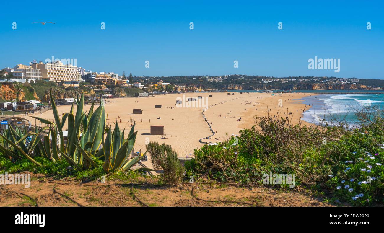 Portimao, Portugal, 21. Februar 2026. Erhöhter Blick auf Praia da Rocha mit goldenem Sand, Hotels, Klippen und Atlantikküste unter klarem blauem Himmel. Stockfoto
