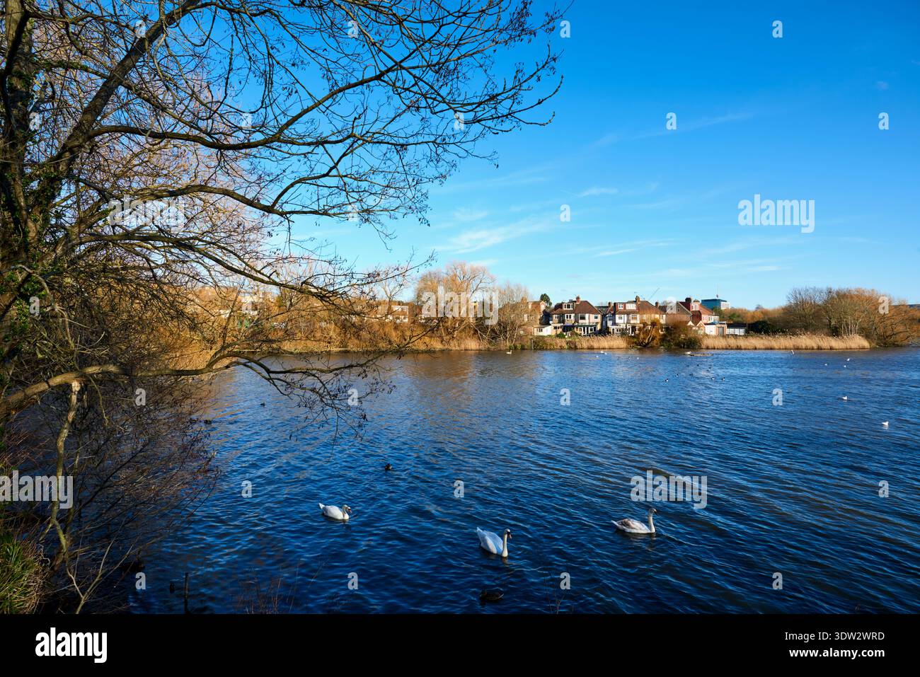 Brent Reservoir im Winter in der Nähe von West Hendon, London, Großbritannien Stockfoto