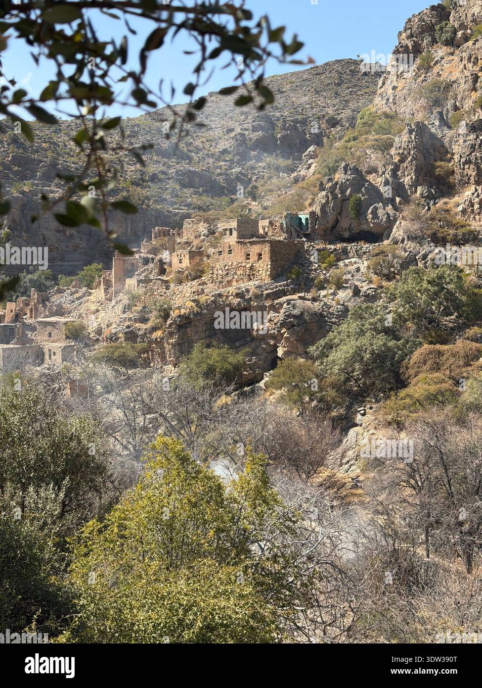 Traditioneller Falaj-Bewässerungskanal, der durch eine üppige Dattelpalmenoase in Oman fließt, umgeben von Wüstenvegetation und historischer landwirtschaftlicher Landwirtschaft - Smartphone-aufgenommenes Stockfoto