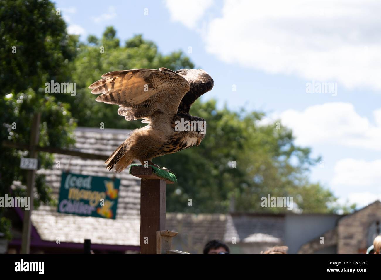 Michigan Renaissance Festival in Holly, Michigan am 30. August 2025 Stockfoto