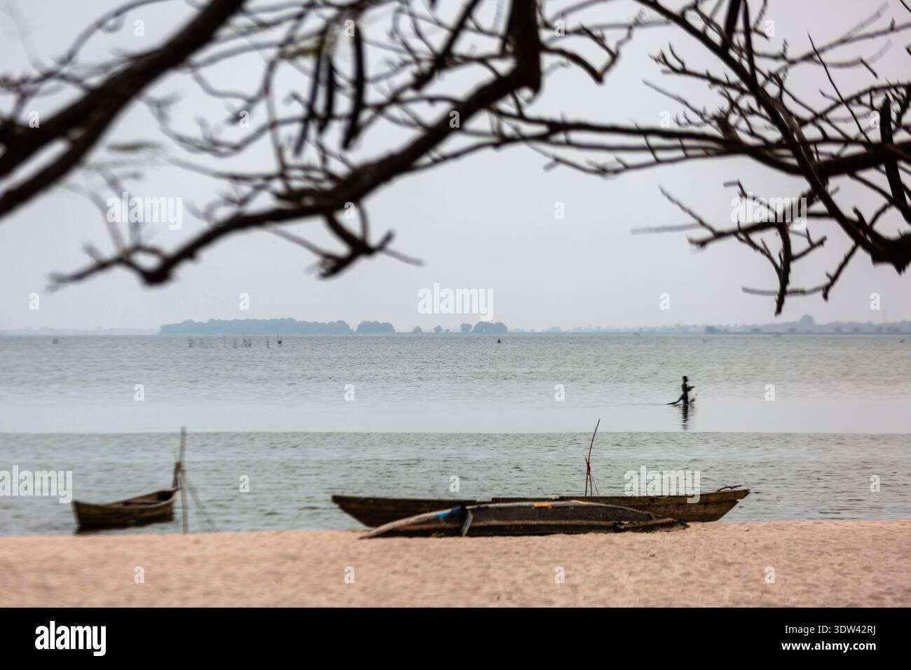 Ein ruhiger Blick auf einen einsamen Fischer auf einem ruhigen See, eingerahmt von Ästen. Stockfoto