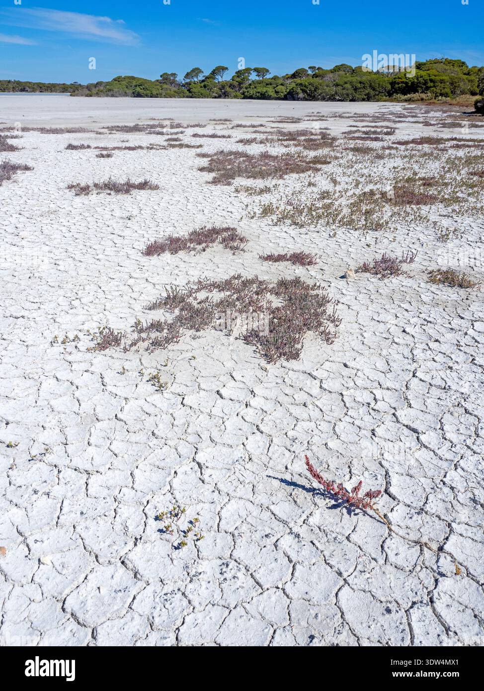 Pipe Clay Lake, Coorong National Park Stockfoto