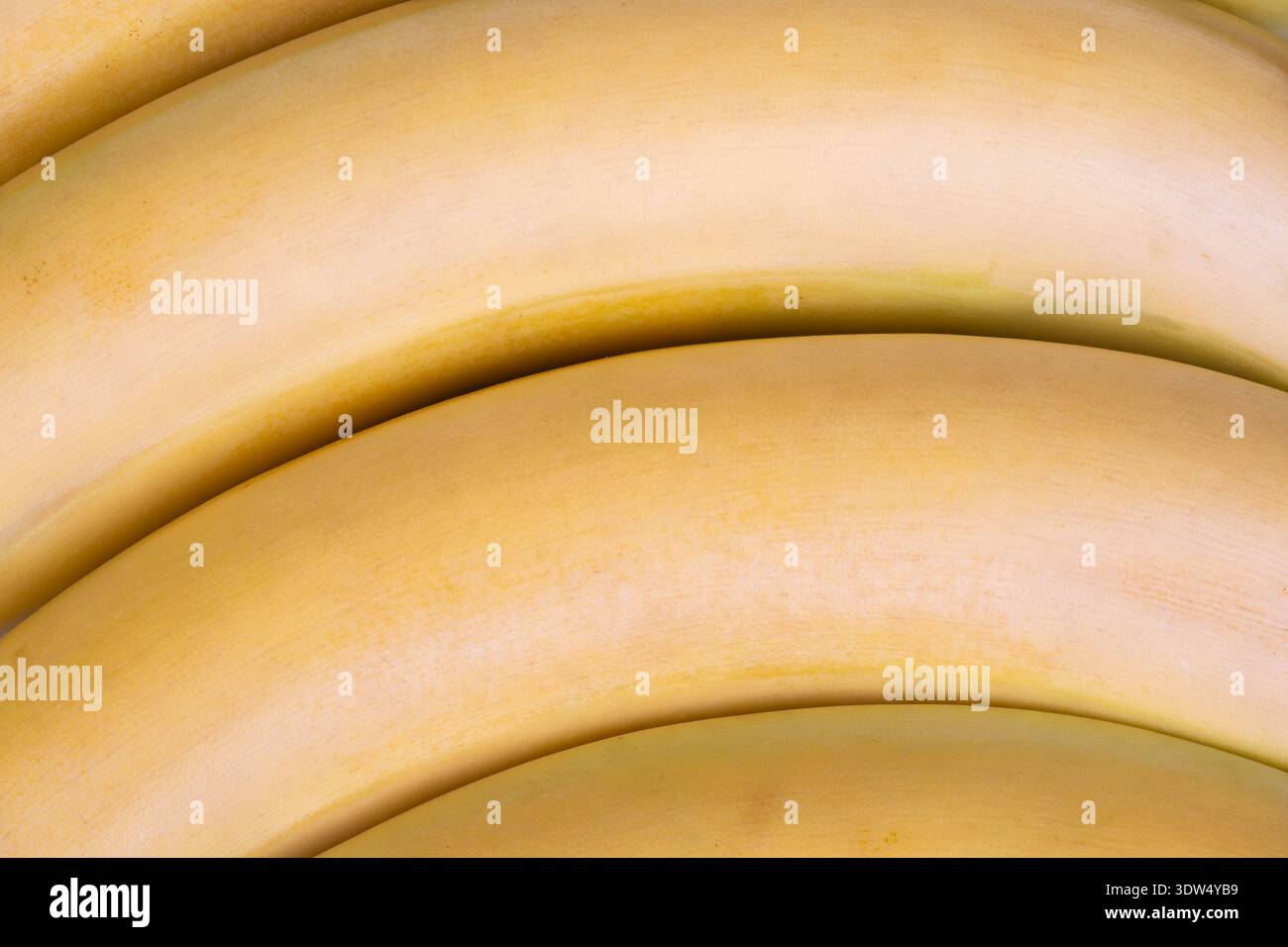 Lebendige Obstpräsentation. Frische Bananen auf einem belebten Stand. Farbenfroher Marktstand mit Reifen Bananen. Lebhafte Lebensmittelszene mit hellen Reifen Bananen A Stockfoto
