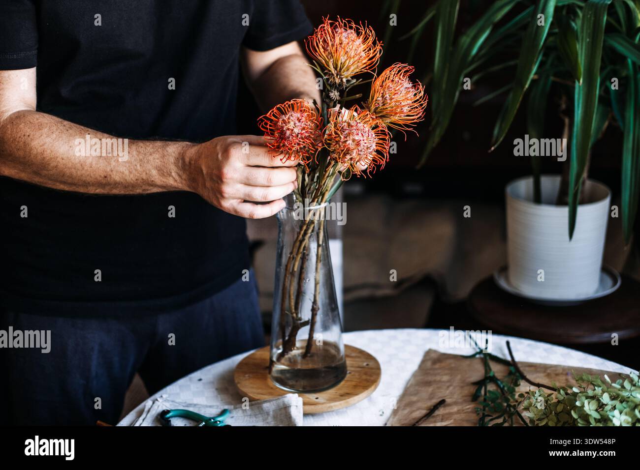 Die Person legt orangefarbene Kissen Protea in eine Glasvase auf den Tisch. Nachhaltige Hochzeiten, umweltfreundliche Veranstaltungen, biologisch abbaubare Einrichtung, Blumenschmuck mit geringer Wirkung Stockfoto